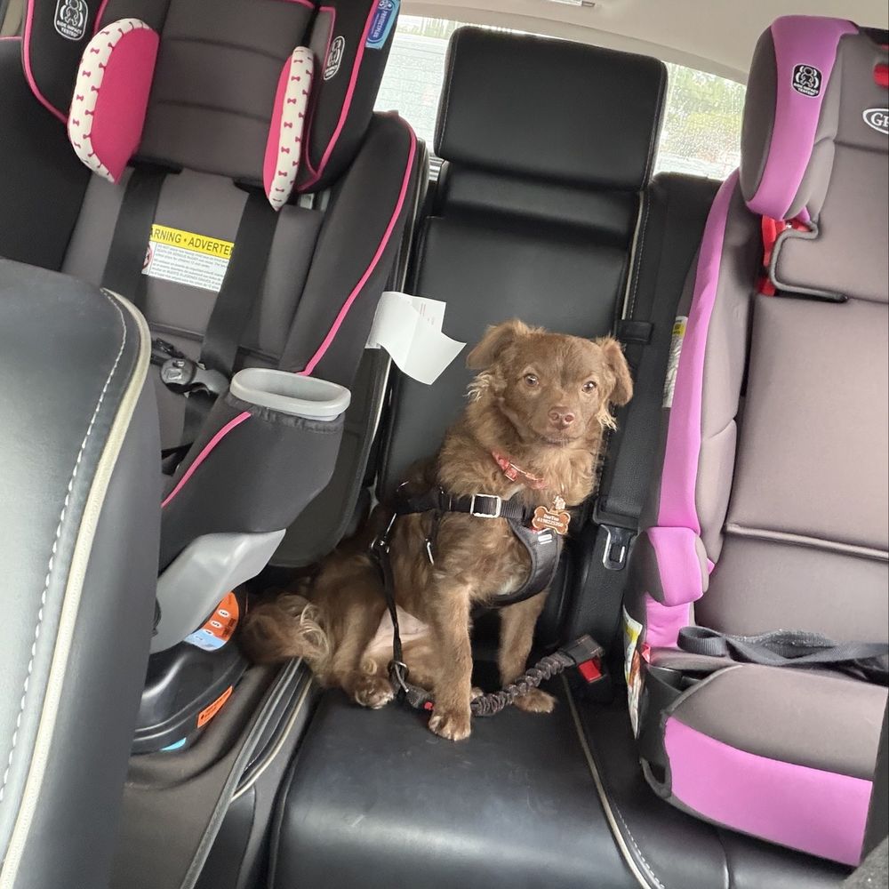 On the way for our evaluation, which she passed with flying colors