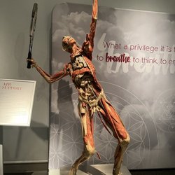 Reading Public Museum - Human Body Exhibit 2022