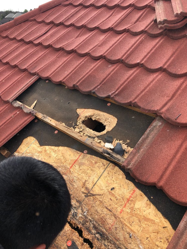 Slide of Top Repair Roofing