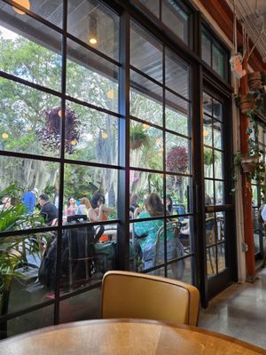 Novela Cafe Social by null