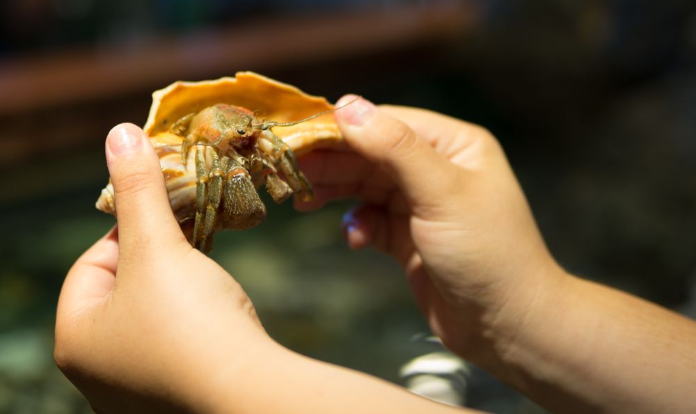 EXPLORATION CENTER & AQUARIUM SAVE THE BAY 62 Photos & 18 Reviews