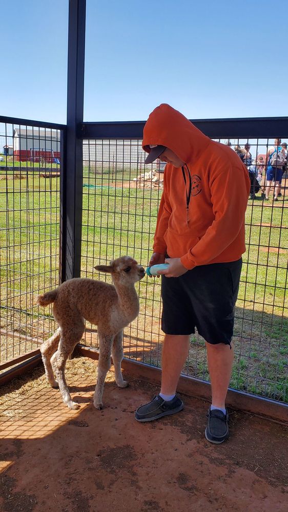 Snider Family Exotics Logo