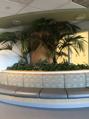 Hackensack Meridian Mountainside Medical Center by null