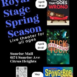 Royal Stage Performing & Visual Arts - I saw 0The Play that goes wrong"
