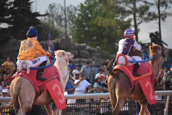 Remington Park by null