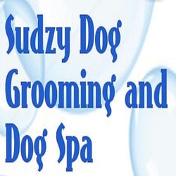 Sudzy Dog Grooming