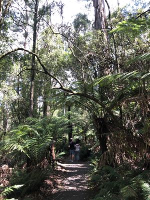 William Ricketts Sanctuary by null