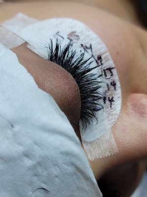 Virtue Lash by null