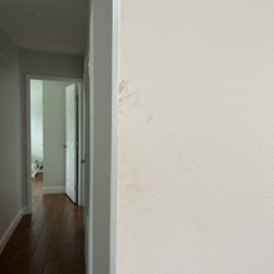 Gulf Coast Property Management - More poop stains on wall