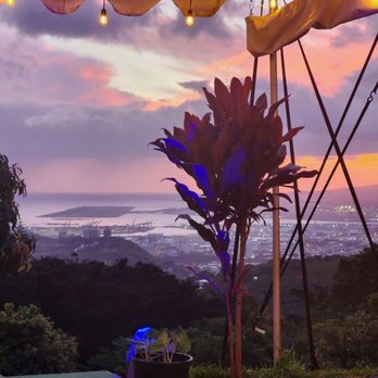 Experience Nutridge - Beautiful view - Performing Arts Near Me - Honolulu, Hawaii