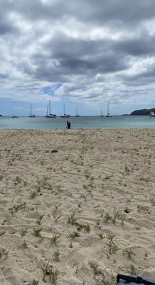 Brewers Bay Beach by null
