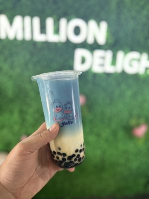 Million Delights, Bubble Tea, and Japanese Cheesecake. by null
