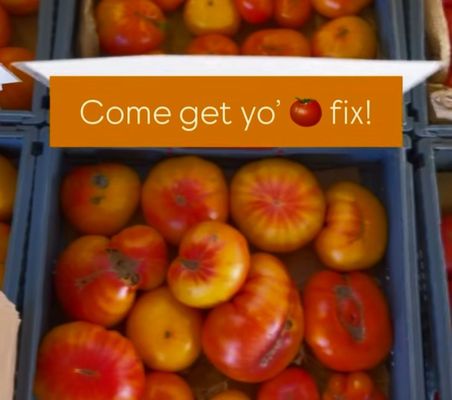 Sang Lee Farms by null