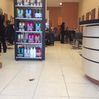 Hair Cuttery - Busy day but there getting it done! - Hair Stylists Near Me - Jacksonville, Florida Hair Cuttery - Busy day but there getting it done! - Hair Stylists Near Me - Jacksonville, Florida