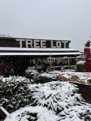 Farmers market in Kirkwood by null