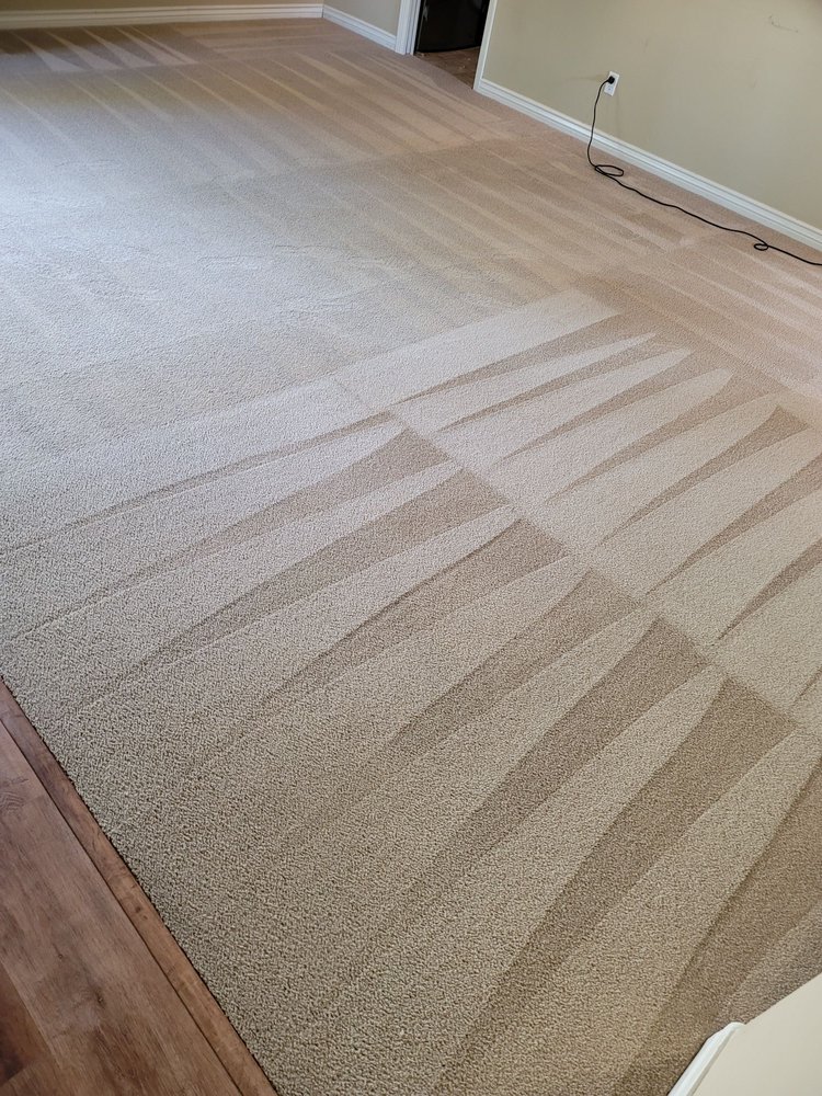 CARPET CLEAN 4 LESS Updated October 2024 17 Photos Lompoc, California Carpet Cleaning
