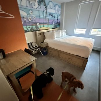 The Arts Hotel - Hotel room - bed, desk, concrete floor. - Hotels Near Me - Charlottetown, Prince Edward Island