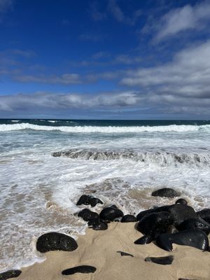 Kaʻena Point Trail by null