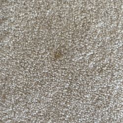 Stains