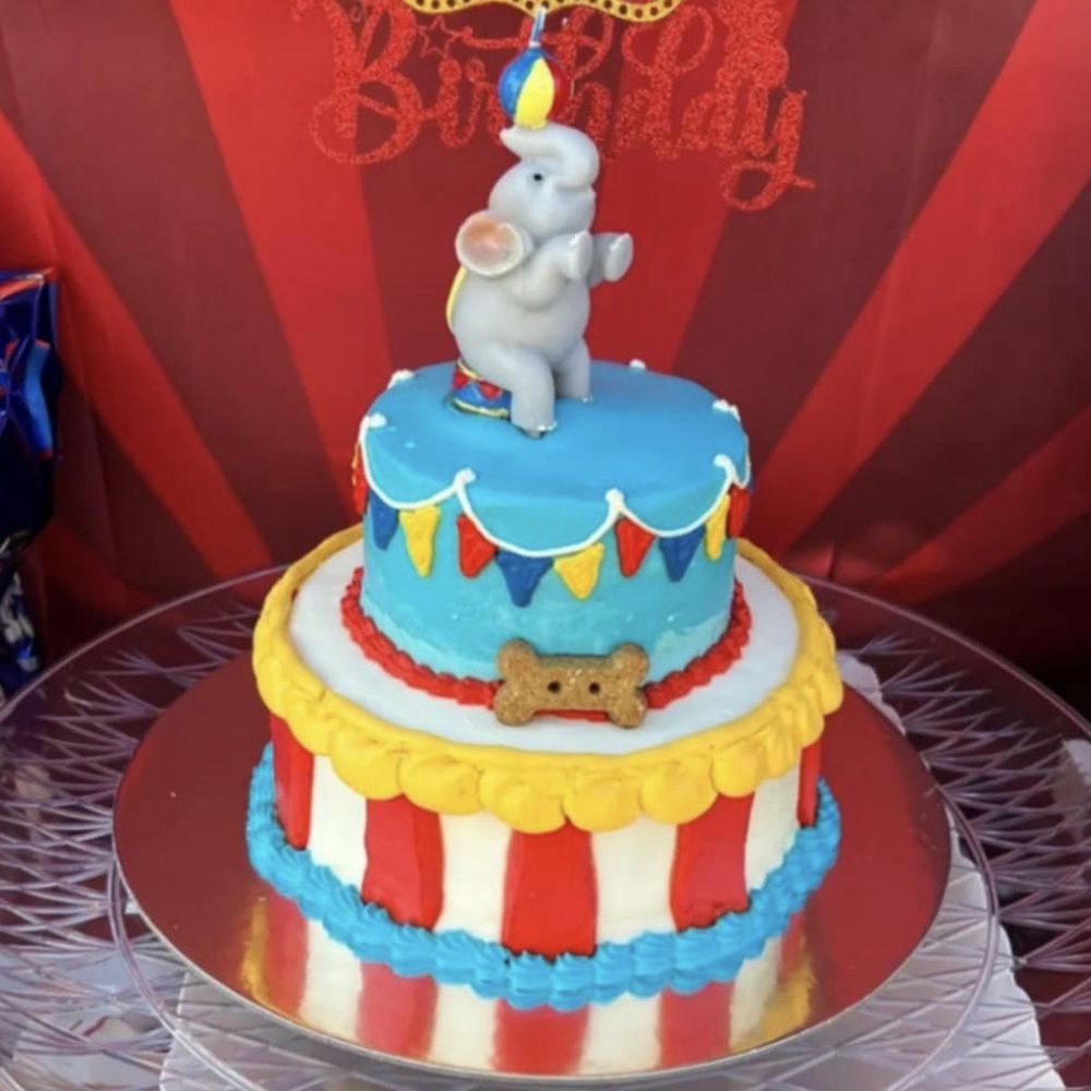 Drooly Cakes - Custom Cakes Near Me Drooly Cakes - Custom Cakes Near Me