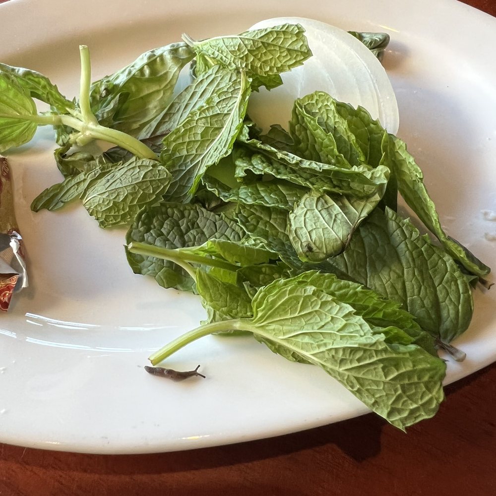 Kababbq Grill & Café - Persian/Iranian Near Me - San Rafael, California Kababbq Grill & Café - Persian/Iranian Near Me - San Rafael, California