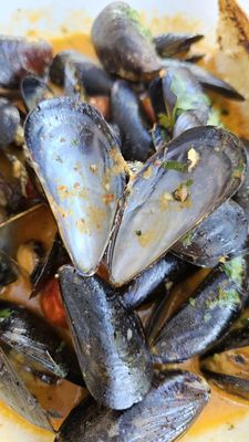 Cafe Blue at Hill Country Galleria by null