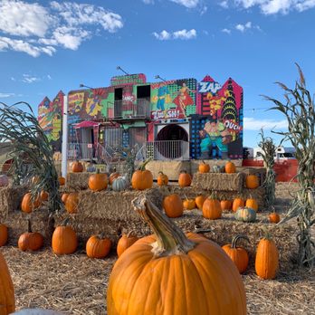 Moore Pumpkin Patch - Pumpkin Patches Near Me - Livermore, California Moore Pumpkin Patch - Pumpkin Patches Near Me - Livermore, California