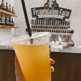 Kombucha Kombucha