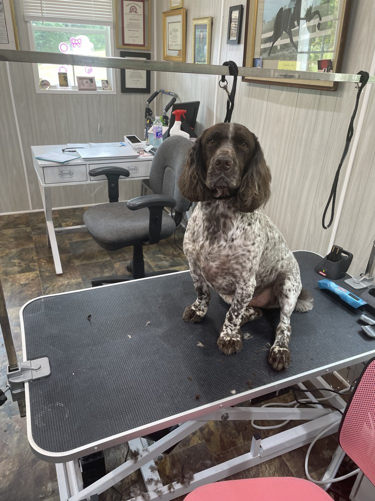 Lakeside Paws Pet Grooming and Boarding Image