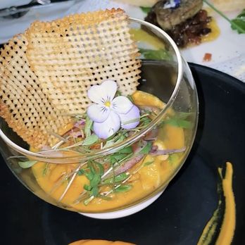 Maison Pucha Bistro - Fish Ceviche - French Near Me - Houston, Texas Maison Pucha Bistro - Fish Ceviche - French Near Me - Houston, Texas