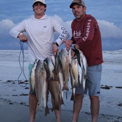 Legend Oaks - Stringer catch from horn island