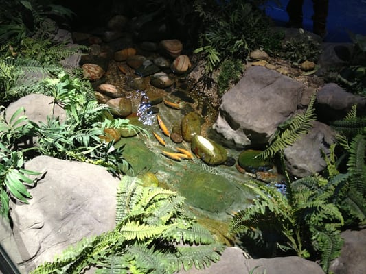 National SEA LIFE Centre Birmingham by null