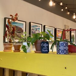 Anvil Coffee House - Happy plants!