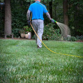 Canopy Lawn Care - Feeding the Roots of Beauty: Our skilled technician ensuring every blade of grass receives the care it deserves. - Lawn Services Near Me - Raleigh, North Carolina
