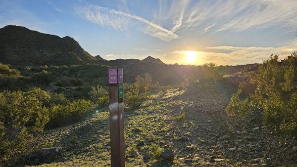 Dreamy Draw Recreation Area by null