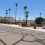 Photo of Arborzona Tree Service