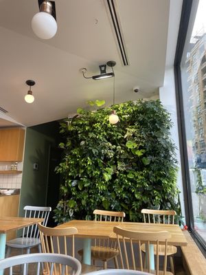 Kupfert & Kim by null