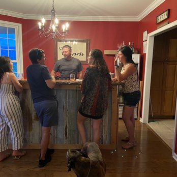 Castle Vineyards - a group of people standing in front of a bar - Wine Tasting Room Near Me - Luray, Virginia
