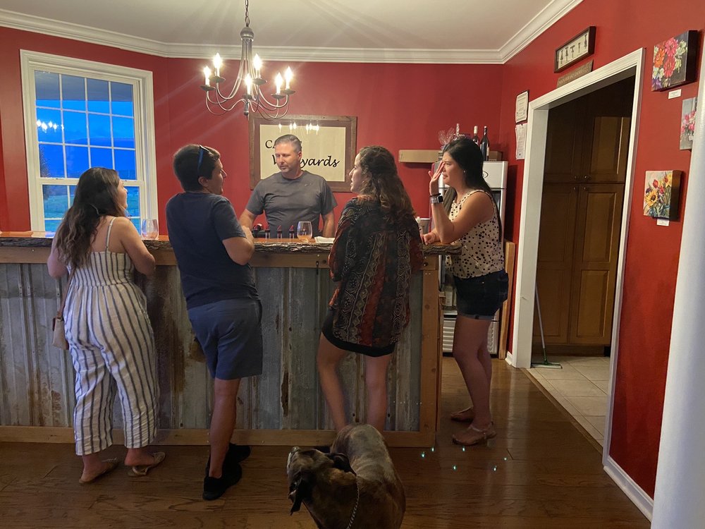 CASTLE VINEYARDS with photos Updated August 2024 38 Photos & 45