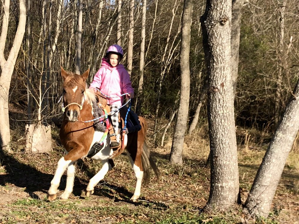 K&M STABLES Updated August 2024 15 Photos 214 Sunshine Rd, Kenly