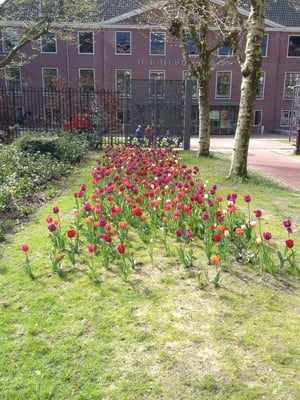 Dignita Hoftuin by null