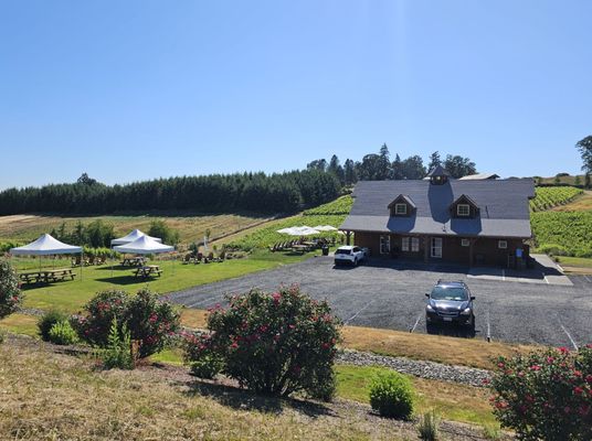 Domaine Divio by null