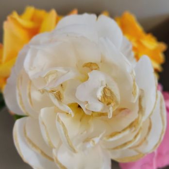 Chase Bank - More homegrown roses to brighten the day! - Banks & Credit Unions Near Me - Alpine, California Chase Bank - More homegrown roses to brighten the day! - Banks & Credit Unions Near Me - Alpine, California