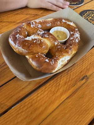 The Black Forest by null