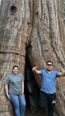 Sequoia National Forest by null