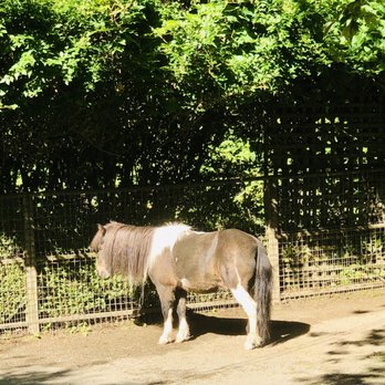 Maplewood Farm - Farms Near Me - North Vancouver, British Columbia