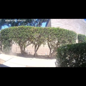 Sanchez yard maintenance - Worker coming up sidewalk in front of door with dirt again 7/20/26 - Lawn Services Near Me - Caruthers, California Sanchez yard maintenance - Worker coming up sidewalk in front of door with dirt again 7/20/26 - Lawn Services Near Me - Caruthers, California
