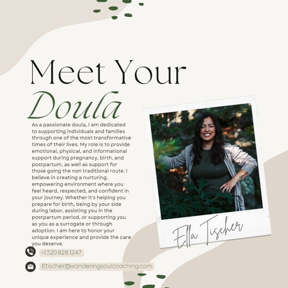 Wandering Soul Life Coaching - grief counselor in Bethel, MN