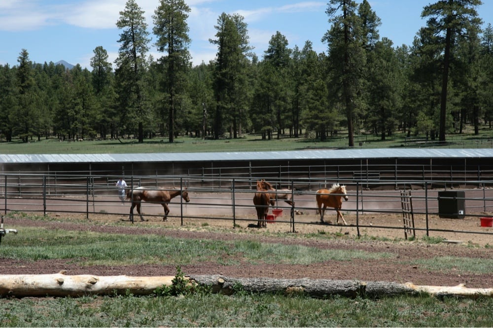 MCS STABLES Updated August 2024 8301 S State Rt 89A, Flagstaff