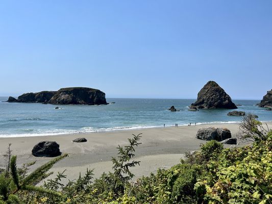 Samuel H. Boardman State Scenic Corridor by null